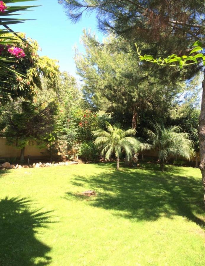 Villa Natalia Ayia Napa Exterior foto